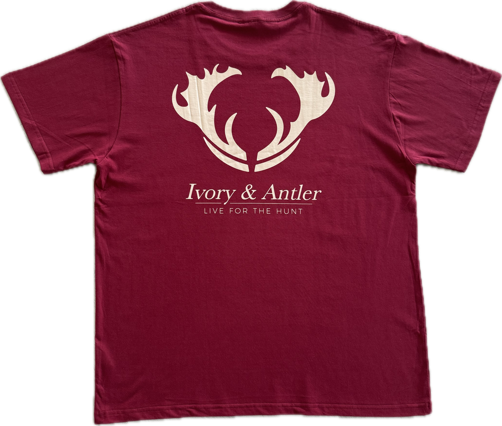 Short Sleeve Logo T-Shirt - Red