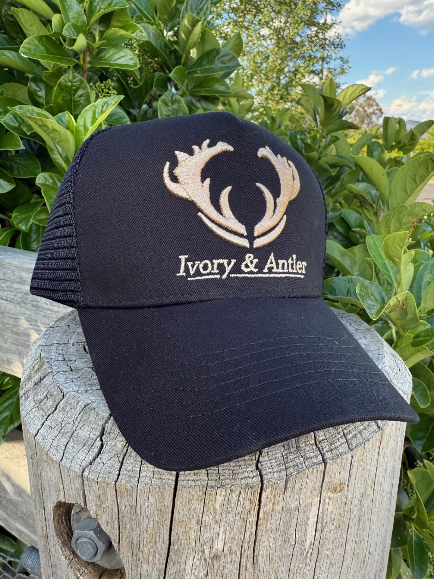 Trucker Hat - Black/Gold